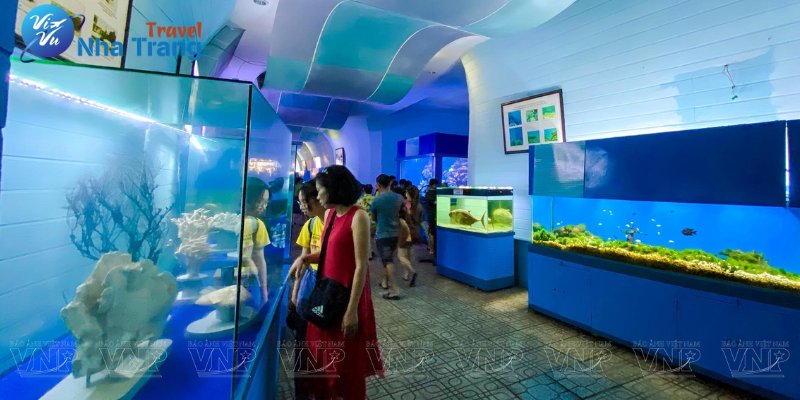 Giới thiệu về Tour Viện Hải Dương Học Nha Trang